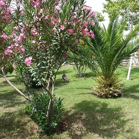 Lejlighedshotel Melodi Club 3*